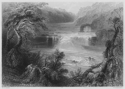 Laxsprång vid Leixlip (gravyr) av William Henry (after) Bartlett