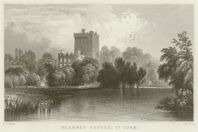 Blarney Castle i grevskapet Cork av William Henry Bartlett