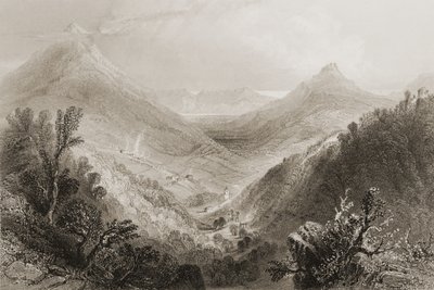 Glen of the Downs, County Wicklow, Irland, från "Scenery and Antiquities of Ireland" av George Virtue, 1860-tal (gravyr) av William Henry Bartlett