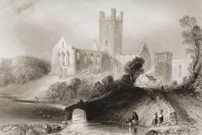 Jerpoint Abbey, County Kilkenny, Irland, från "Scenery and Antiquities of Ireland" av George Virtue, 1860-talet av William Henry Bartlett