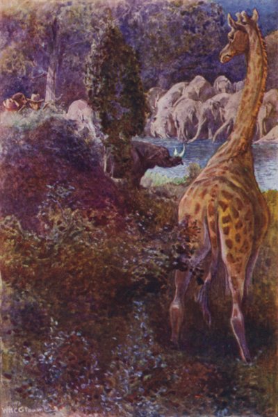 Illustration för The Gorilla Hunters av RM Ballantyne (färg litho) av William Henry Charles Groome