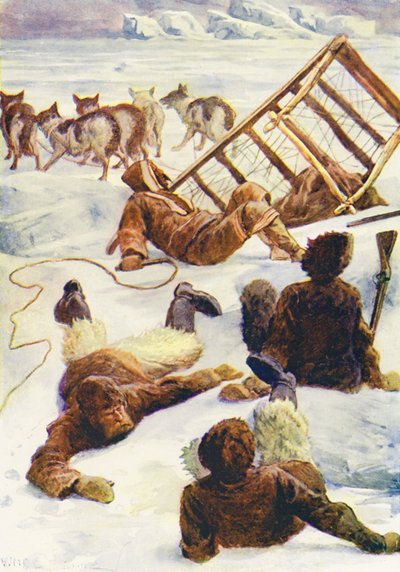 Illustration till The World of Ice or the Whaling Cruise of The Dolphin (färglitografi) av William Henry Charles Groome