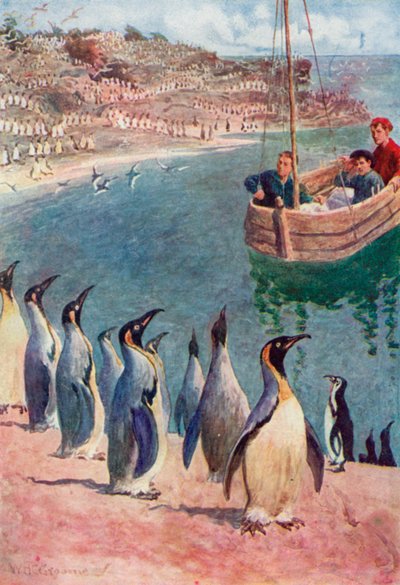 Vi tittade på fåglarna med förvåning och glädje, och de besvarade vår blick med intresse. av William Henry Charles Groome