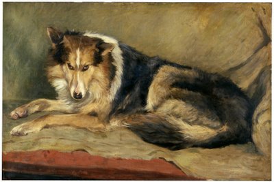 Collie hund av William Henry Charlton
