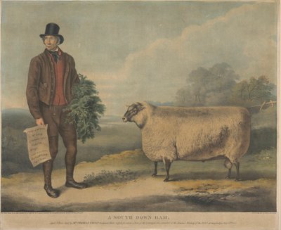 En South Down Ram; Ålder 3 år, uppfödd av Mr. Thomas Crisp, Gedgrave Hall, Suffolk, för vilket ett pris på 30 Severeigns delades ut vid årsmötet i R.A.S. i Cambridge den 15 juli 1840 av William Henry Davis