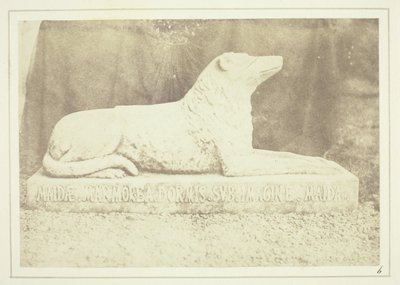 Avbildning av Sir W. Scotts favorithund Maida, vid sidan av dörren till hallen i Abbotsford av William Henry Fox Talbot