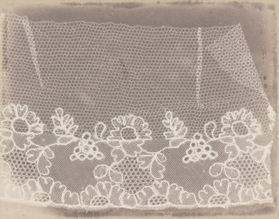 Spets av William Henry Fox Talbot