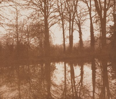 Reflections, 1843 (sepiafoto) av William Henry Fox Talbot