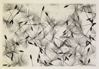 Talbot foto 24 1730 av William Henry Fox Talbot