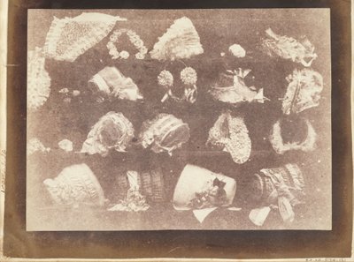 Milliners fönster av William Henry Fox Talbot
