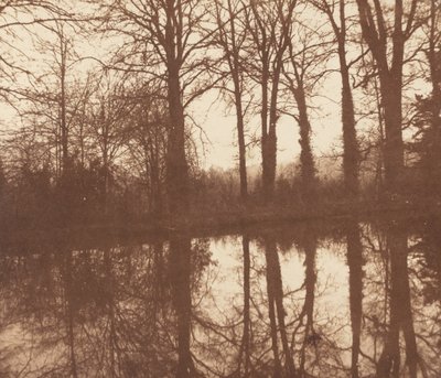 Vinterträd som speglar sig i en damm,1841-1842 (foto) av William Henry Fox Talbot