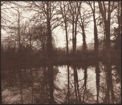 Vinterträd reflekterade i en damm, 1841-42. av William Henry Fox Talbot