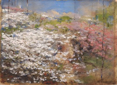 Fält av blommor av William Henry Holmes