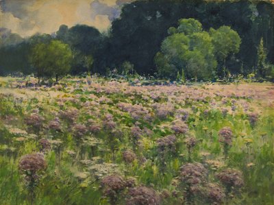 Field of Joe Pie Weeds Pride of the Meadow, n.d. av William Henry Holmes