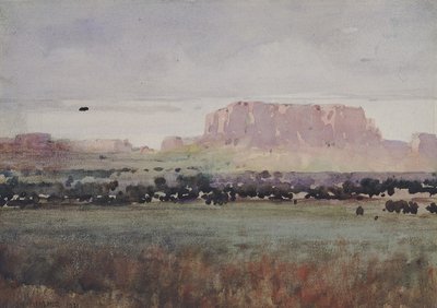 I platålandet i Colorado av William Henry Holmes