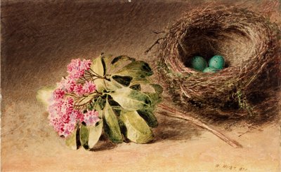 Fågelbo med blomma (kroppsfärg) av William Henry Hunt