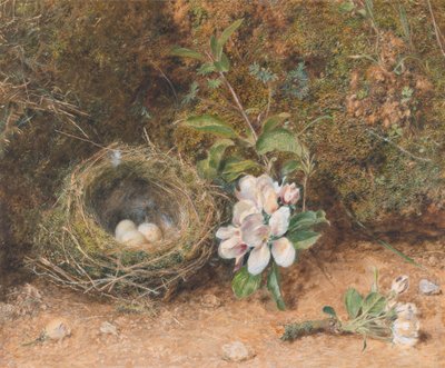 Fågelbo med sprayer av äppelblommor av William Henry Hunt