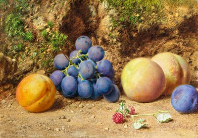 Svarta vindruvor, persikor, aprikoser och hallon, c.1860 av William Henry Hunt