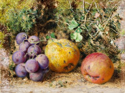 Black Grapes, Quince och Newtown Pippin, 1861 (wc på kort) av William Henry Hunt