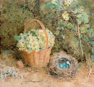 Bofinkar bo med primörer (wc och gouache på papper) av William Henry Hunt