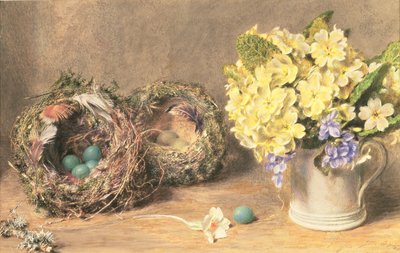 Vårblommor och fågelbon, ca 1830 (akvarell & kroppsfärg på papper) av William Henry Hunt