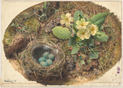 Litet fågelbo av William Henry Hunt