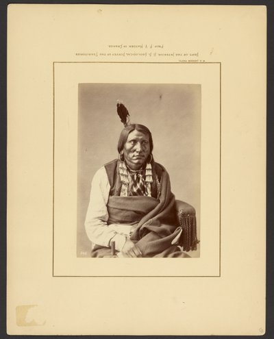 [Anfall mot Hauk - (Brulé Dakota)] av William Henry Jackson