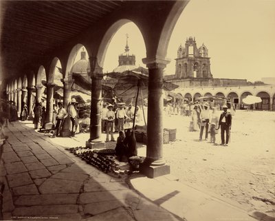 Marknad i Aguascalientes, Mexiko av William Henry Jackson