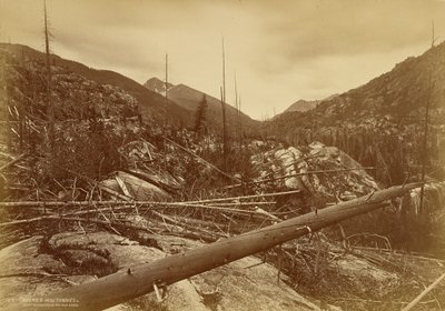 ”Roches Moutonnées” nära Heliga korsets berg av William Henry Jackson