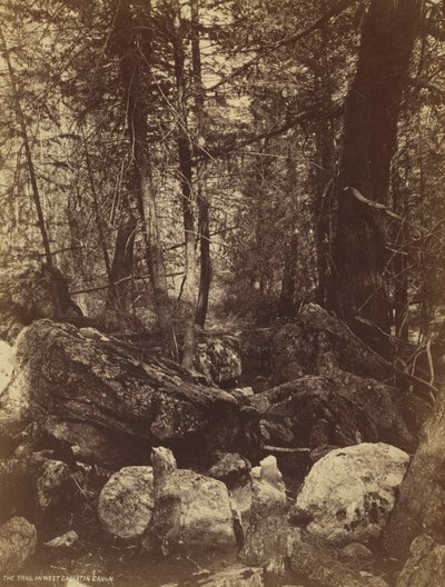 The Trail i West Gallatin Cañon, ca. 1870-talet. av William Henry Jackson