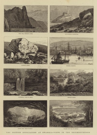 The British Association at Swansea, Views in the Neighborhood av William Henry James Boot