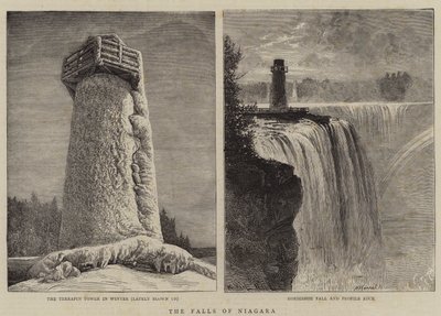 Niagarafallen av William Henry James Boot