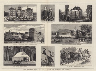Hertigen av Albany besökte nyligen Tyskland av William Henry James Boot