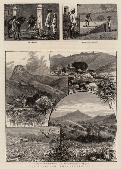 Wynaad Gold Fields, södra Indien av William Henry James Boot