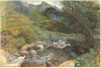 På East Lyn, North Devon av William Henry Millais