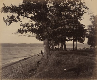 Cayuga Lake, Sheldrake,ca. 1895 (foto) av William Herman Rau
