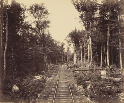Ganoga Lake Branch,ca 1895 (foto) av William Herman Rau