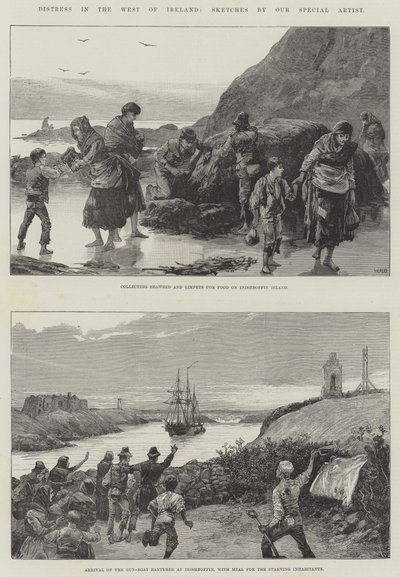 Nöd i västra Irland av William Heysham Overend