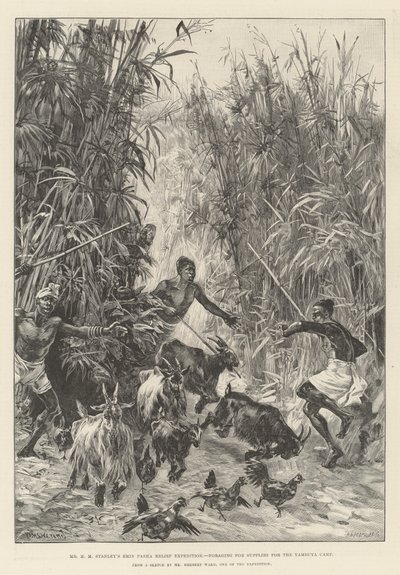 Mr H M Stanleys Emin Pasha Relief Expedition, söker efter förnödenheter till Yambuya-lägret av William Heysham Overend