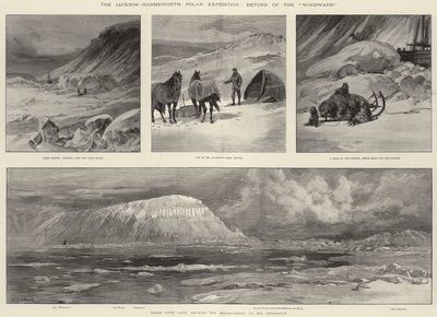 Jackson-Harmsworths polarexpedition, Återkomsten av Windward av William Heysham Overend