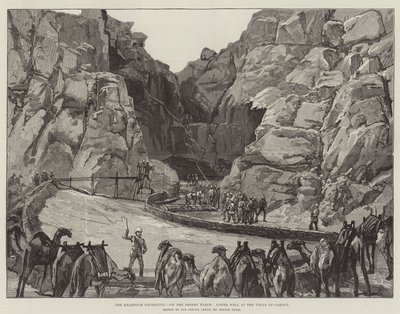 Khartoum-expeditionen, på ökenmarschen, lägre brunn vid brunnarna i Gakdul av William Heysham Overend