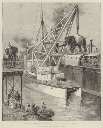 Looshai-expeditionen, fraktar elefanter ombord på Simla i Calcutta av William Heysham Overend