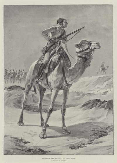 Den infödda egyptiska armén, kamelkåren av William Heysham Overend