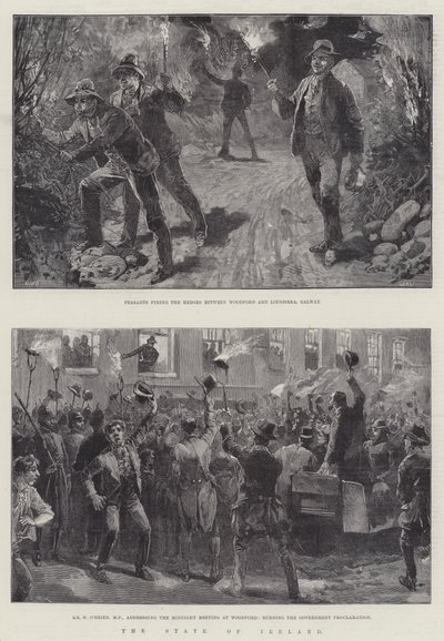 Staten Irland av William Heysham Overend