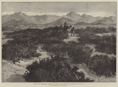 Kriget i Soudan, vägen till Sinkat, vy som visar landets natur av William Heysham Overend