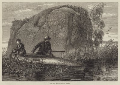 Skjutning av vilda ankor, gravyr från västra Irland av William Heysham Overend