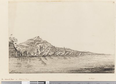 Page 14 Otaheite-flottan vid Appany Bay av William Hodges