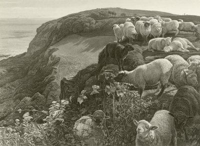 På sluttningen (gravyr) av William Holman Hunt