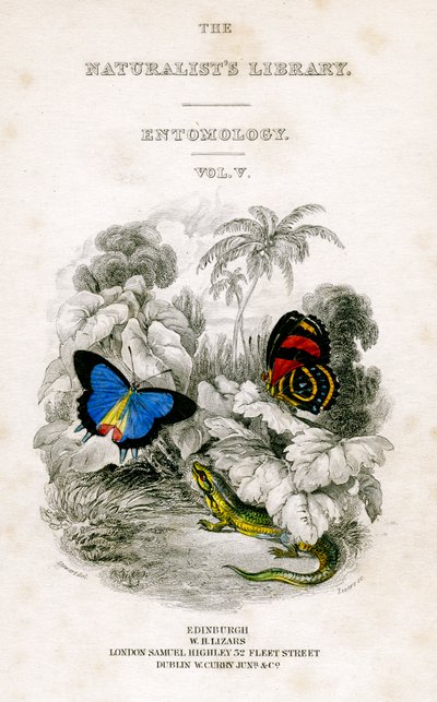 The Naturalists Library, Entomology, Vol V, Butterflies, c1833-1865. av William Home Lizars