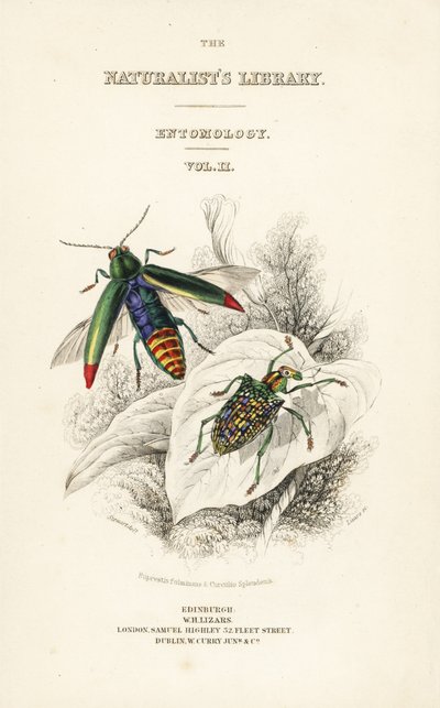 Titelsida med vinjett av juvelbagge, Chrysochroa fulminans och lappvingad diamantbagge, Curculio splendens av William Home Lizars